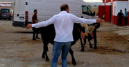 Kurbanlıklar kaçmaya başladı