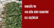Sarıgöl'de 450 Kök Hint Keneviri Ele Geçirildi