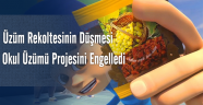 Üzüm Rekoltesinin Düşmesi Okul Üzümü Projesini Engelledi