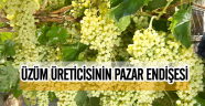 Üzüm Üreticisinin Pazar Endişesi