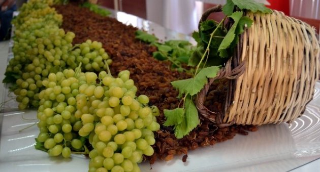 Terörle Mücadeleye Kuru Üzüm Desteği