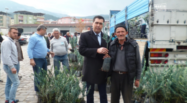 Üreticilere fidan desteği